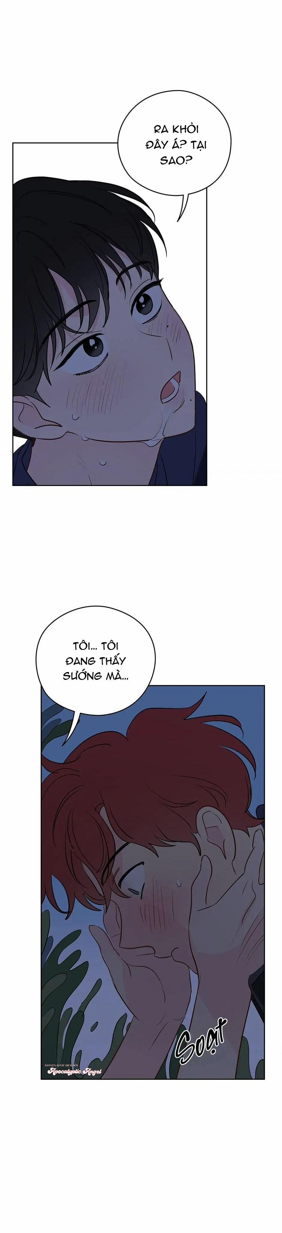 Liệu Rằng… Đây Có Phải Chỉ Là Một Giấc Mơ Không!? 24 trang 13