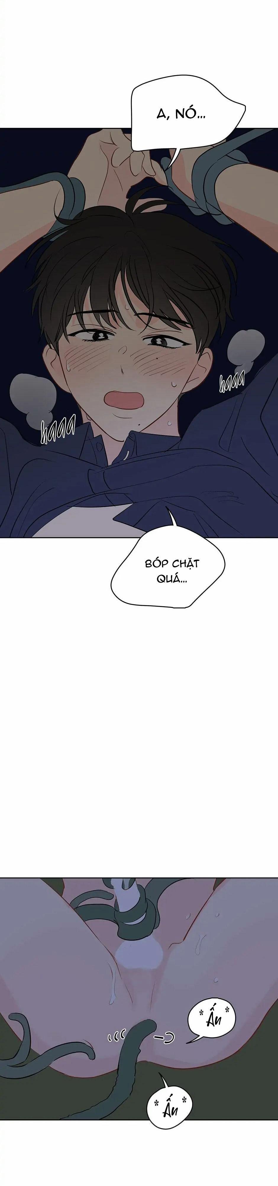 Liệu Rằng… Đây Có Phải Chỉ Là Một Giấc Mơ Không!? 24 trang 24