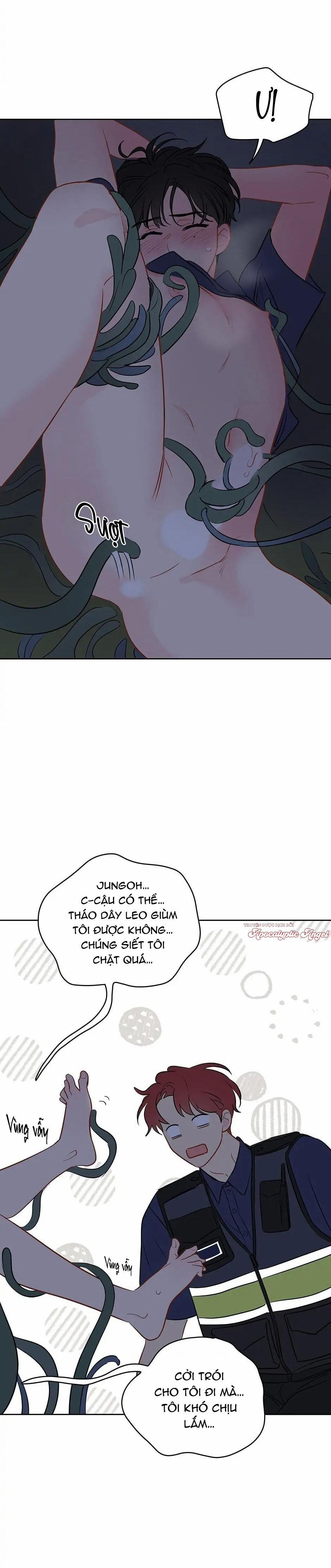 Liệu Rằng… Đây Có Phải Chỉ Là Một Giấc Mơ Không!? 24 trang 25