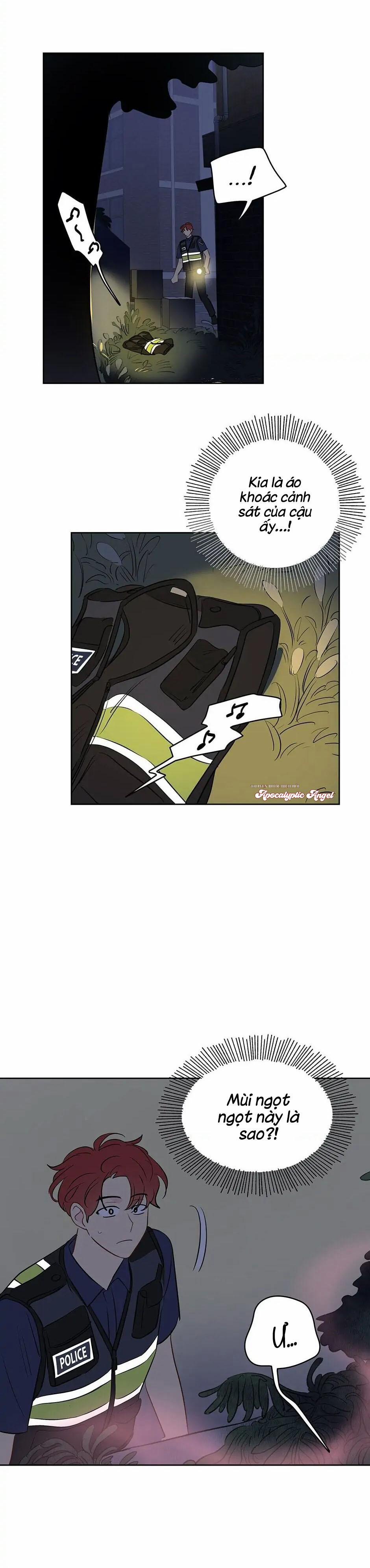 Liệu Rằng… Đây Có Phải Chỉ Là Một Giấc Mơ Không!? 24 trang 4