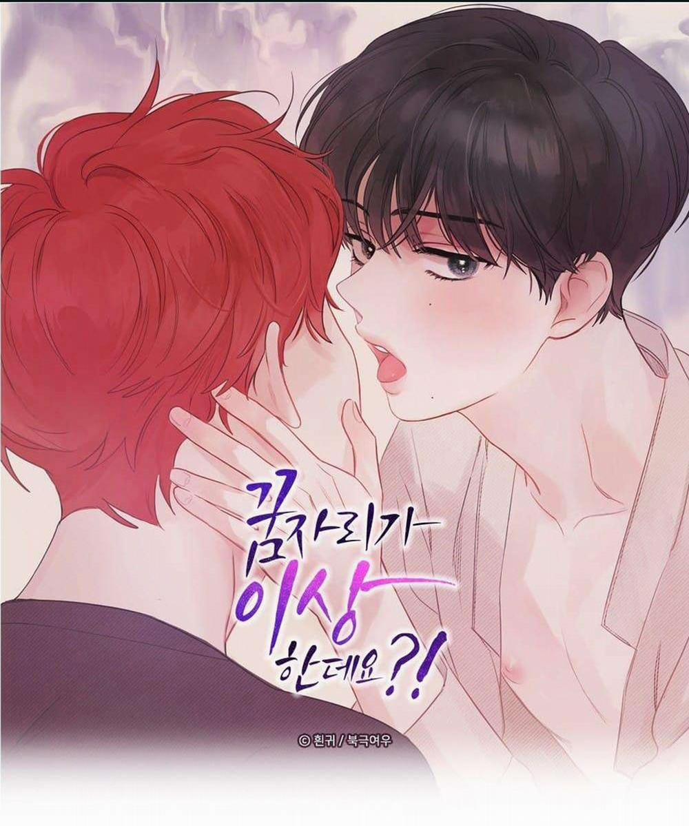 Liệu Rằng… Đây Có Phải Chỉ Là Một Giấc Mơ Không!? 31 trang 0