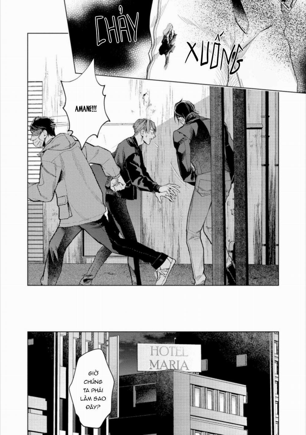 Liều Thuốc Giảm Đau Tồi Tệ Của Tôi 3 trang 14