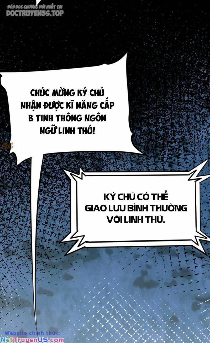 Linh Khí Khôi Phục: Ta Mỗi Ngày Thu Được Một Cái Kỹ Năng Mới 182 trang 27