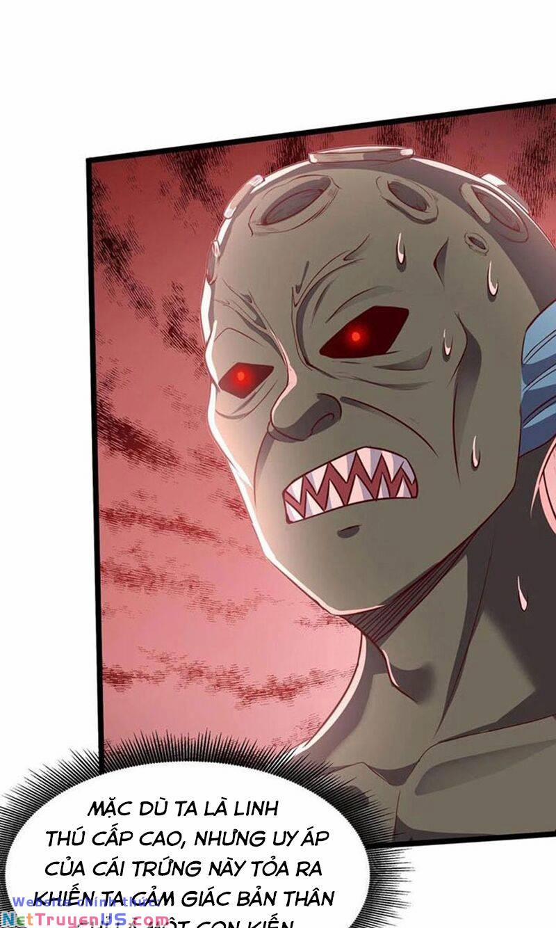 Linh Khí Khôi Phục: Ta Mỗi Ngày Thu Được Một Cái Kỹ Năng Mới 187 trang 12