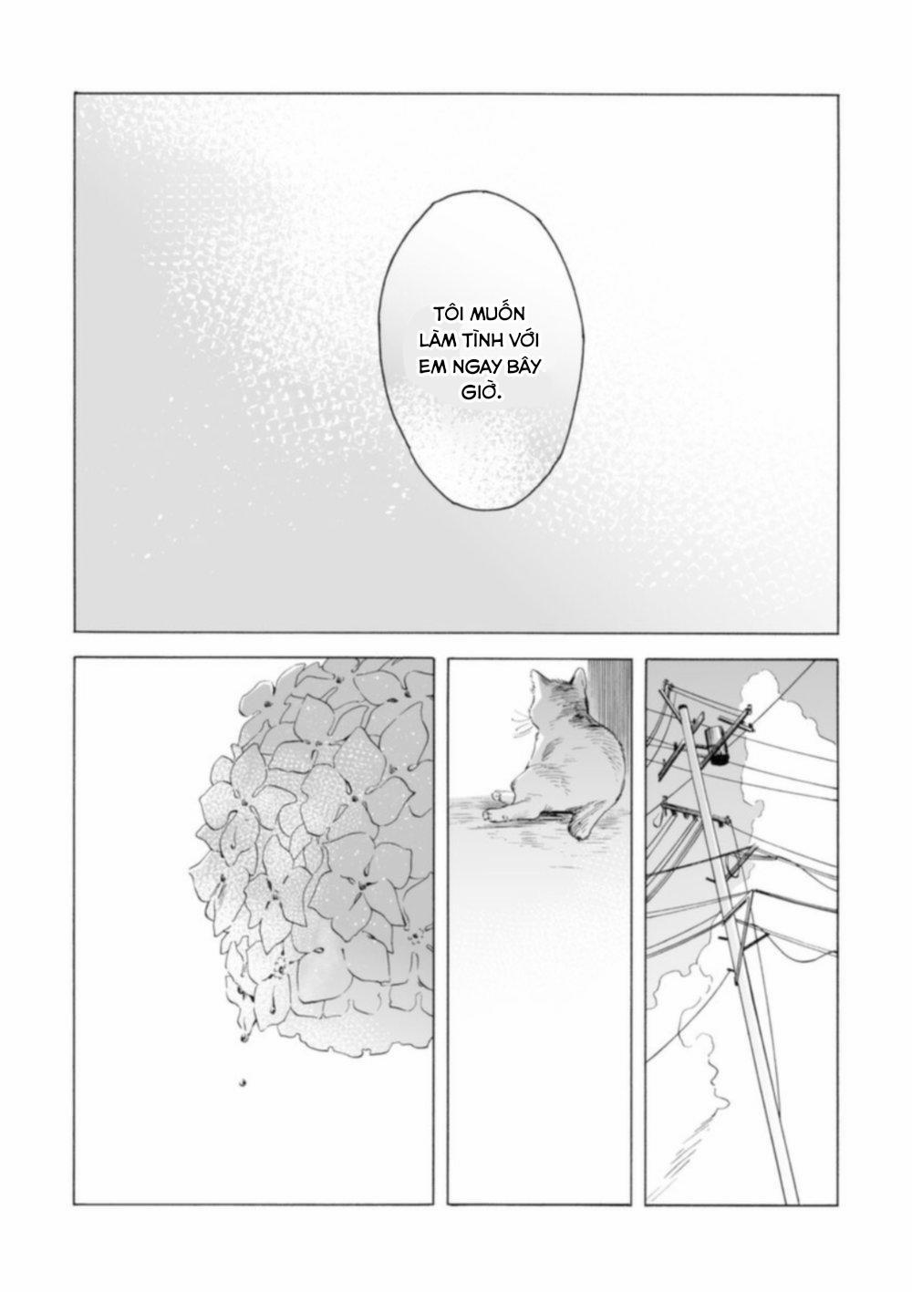 Lion and Venus 6 trang 29