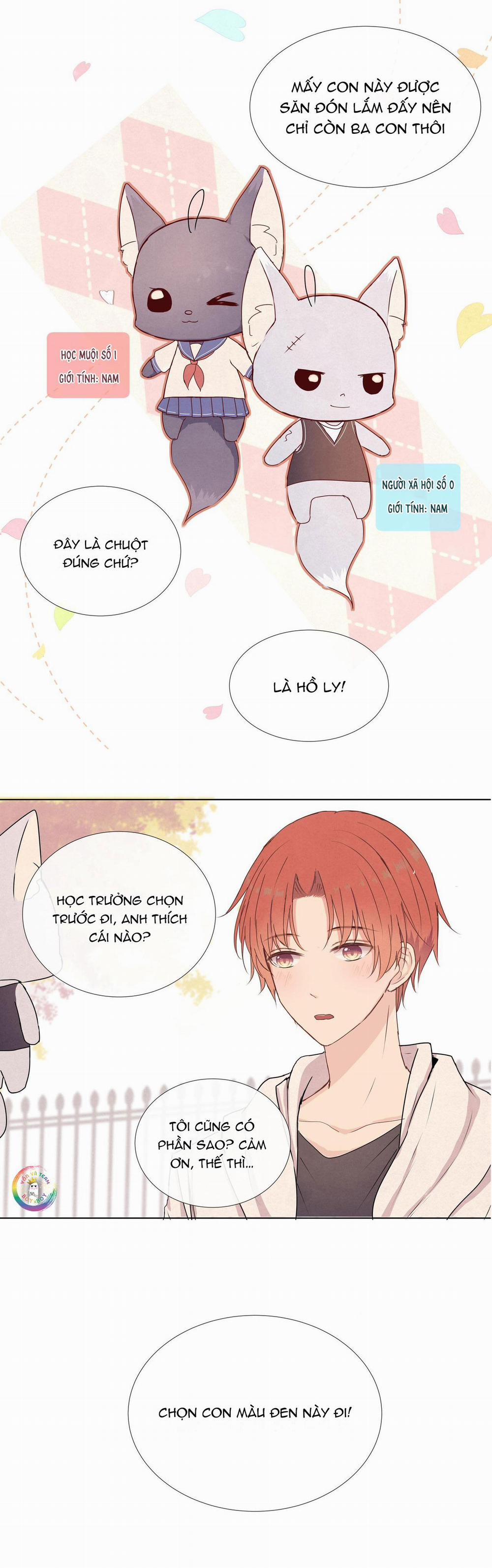 Liquor Gummies 10 trang 4