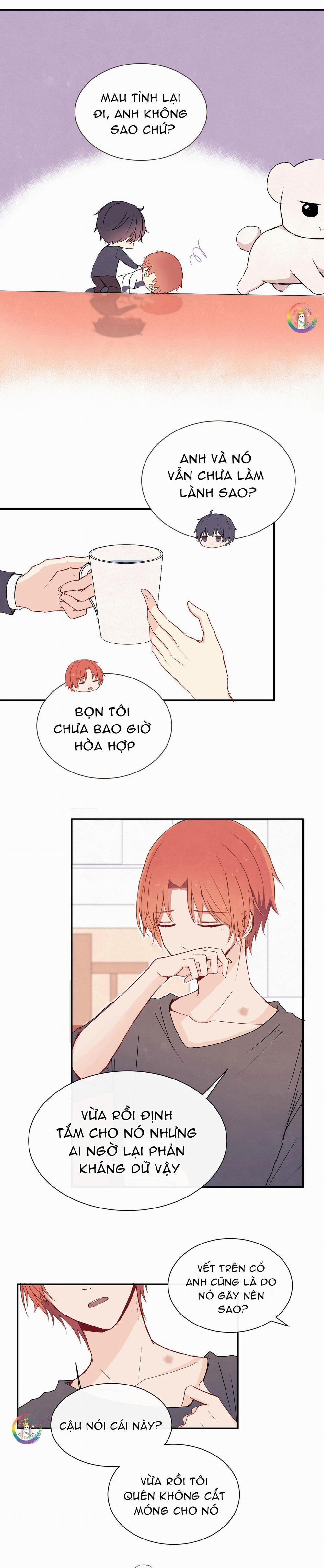 Liquor Gummies 11 trang 3