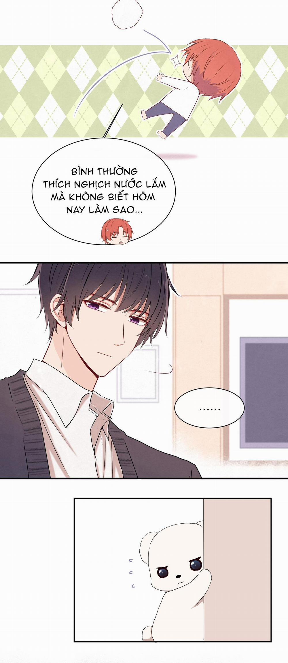 Liquor Gummies 11 trang 4