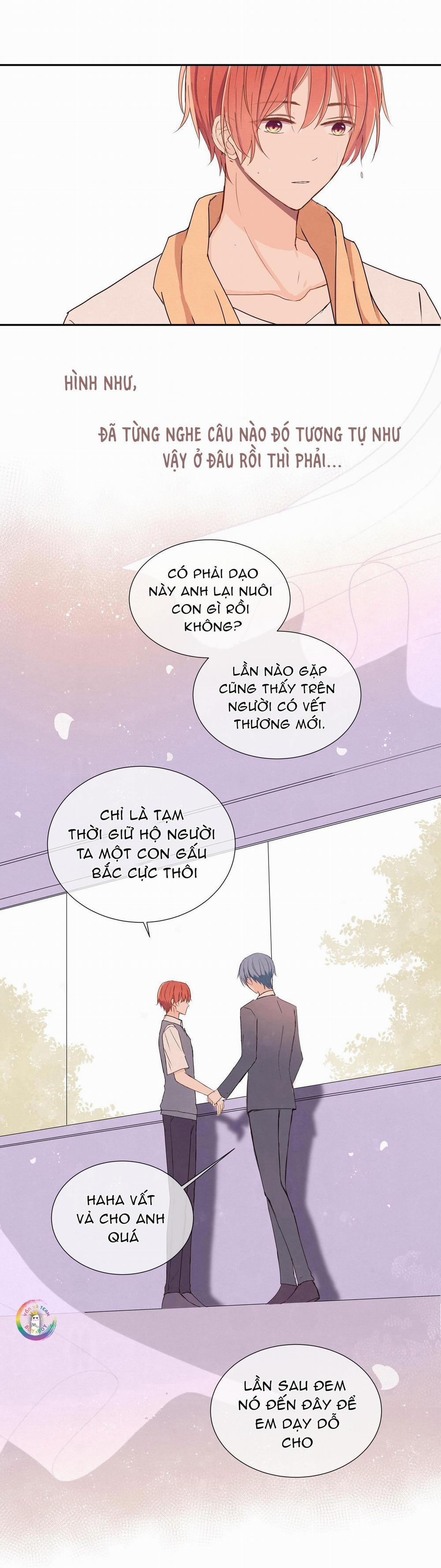 Liquor Gummies 11 trang 8