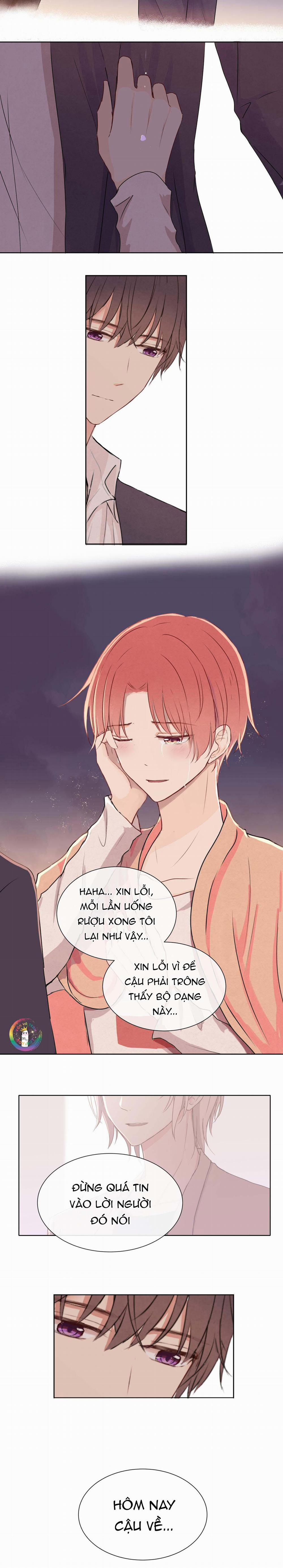 Liquor Gummies 12 trang 7