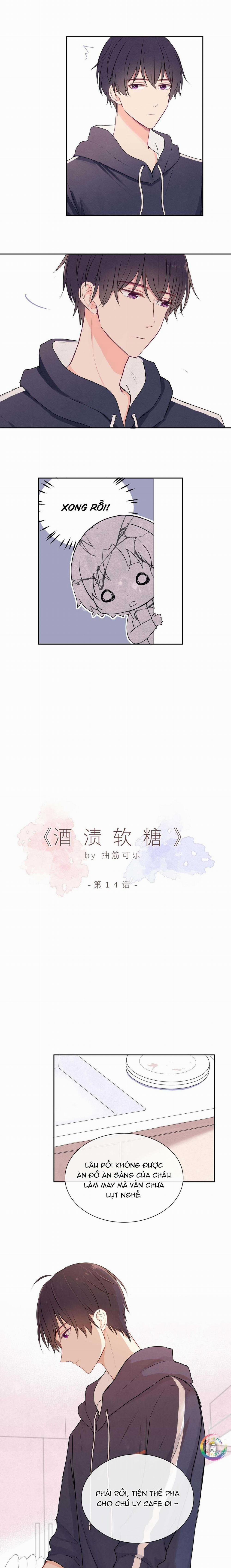 Liquor Gummies 14 trang 2