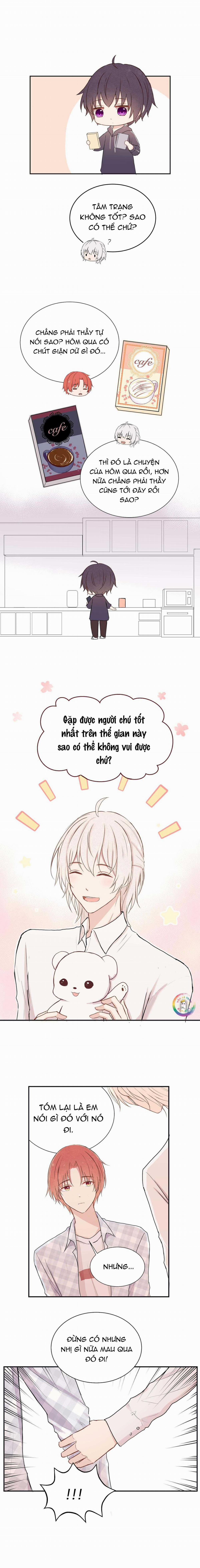 Liquor Gummies 14 trang 5