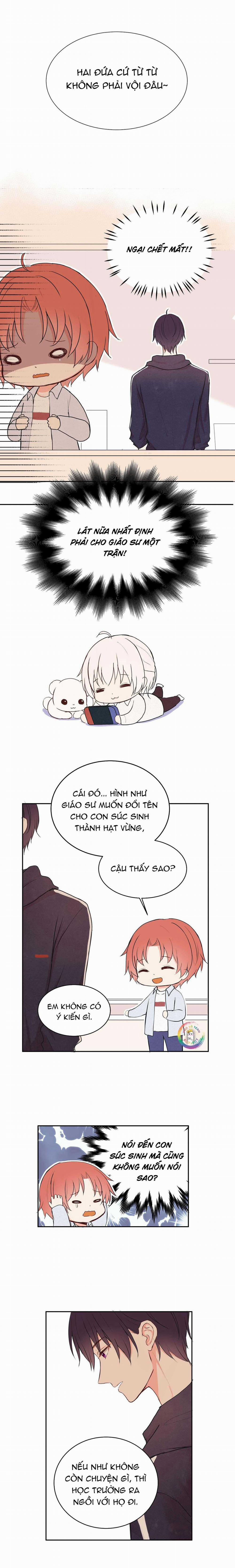 Liquor Gummies 14 trang 7