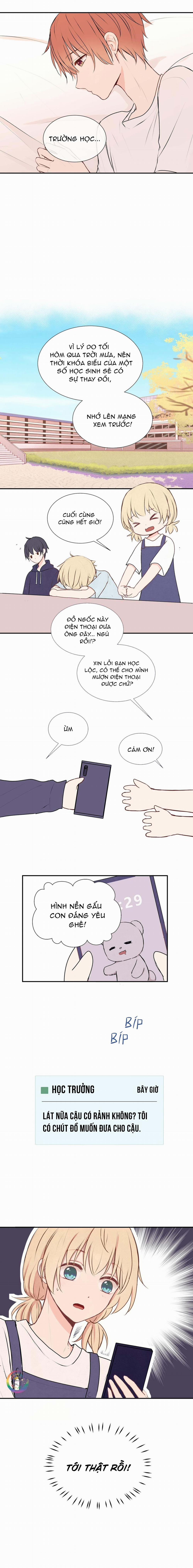 Liquor Gummies 15 trang 10