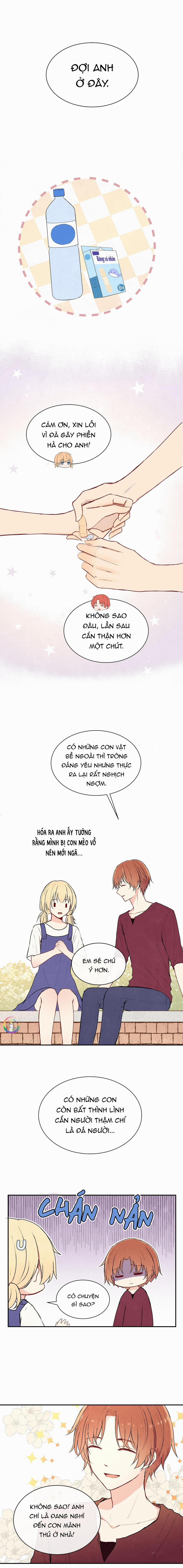 Liquor Gummies 16 trang 5