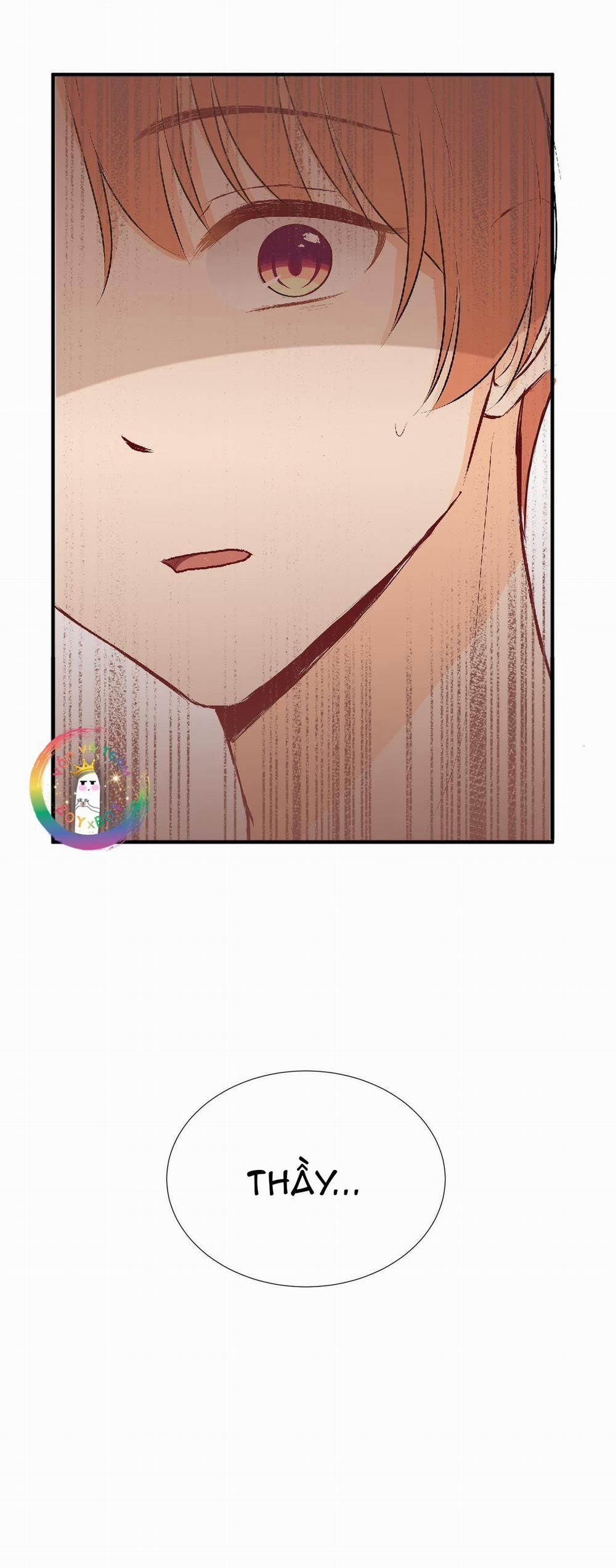 Liquor Gummies 17 trang 14