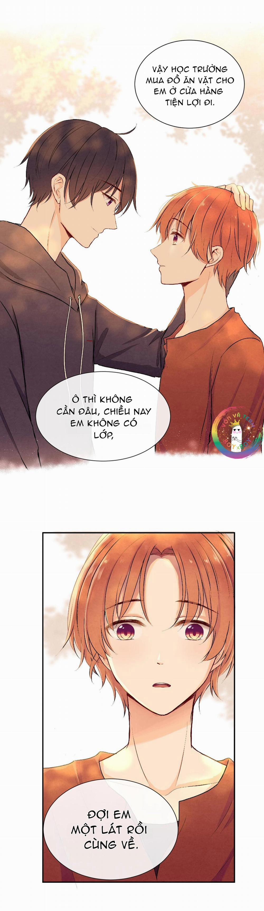 Liquor Gummies 17 trang 6