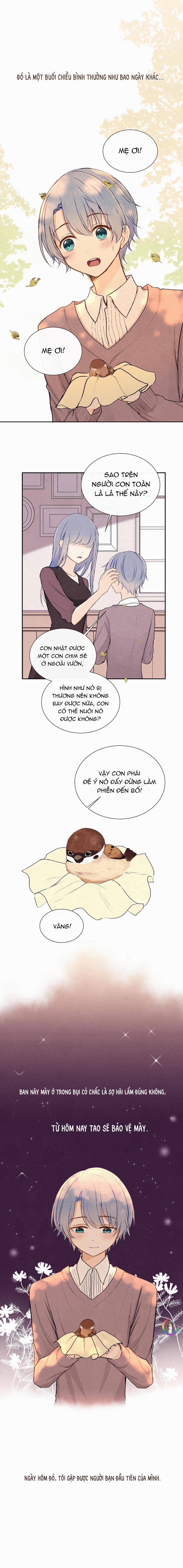 Liquor Gummies 18 trang 1