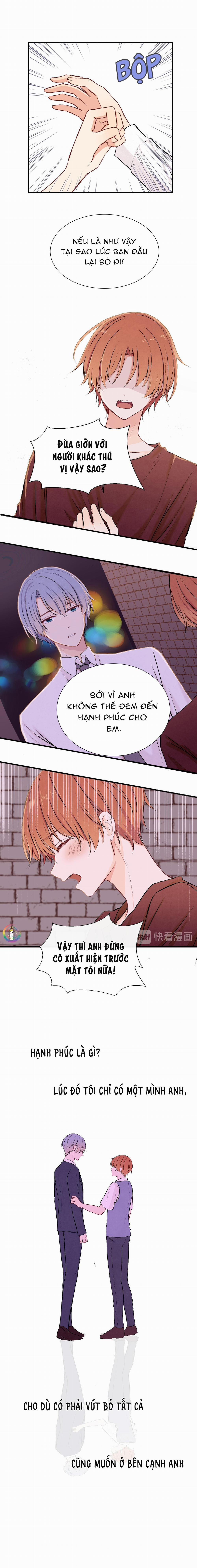 Liquor Gummies 19 trang 5