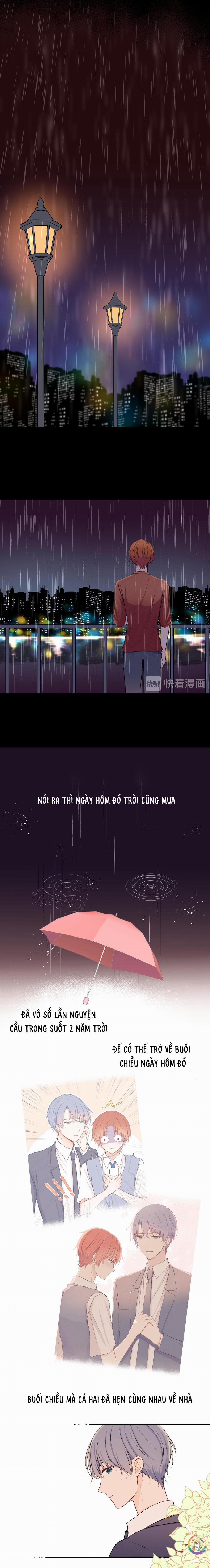 Liquor Gummies 19 trang 8