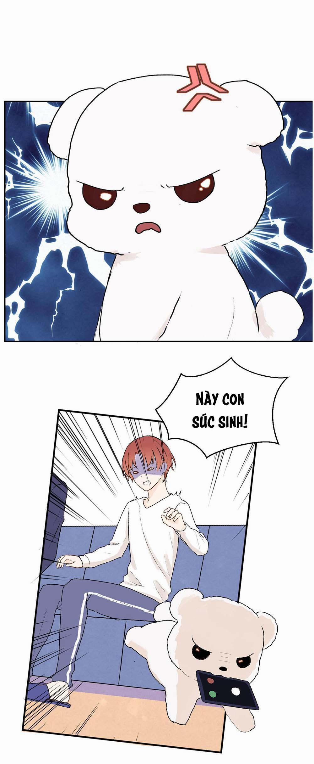 Liquor Gummies 21 trang 15