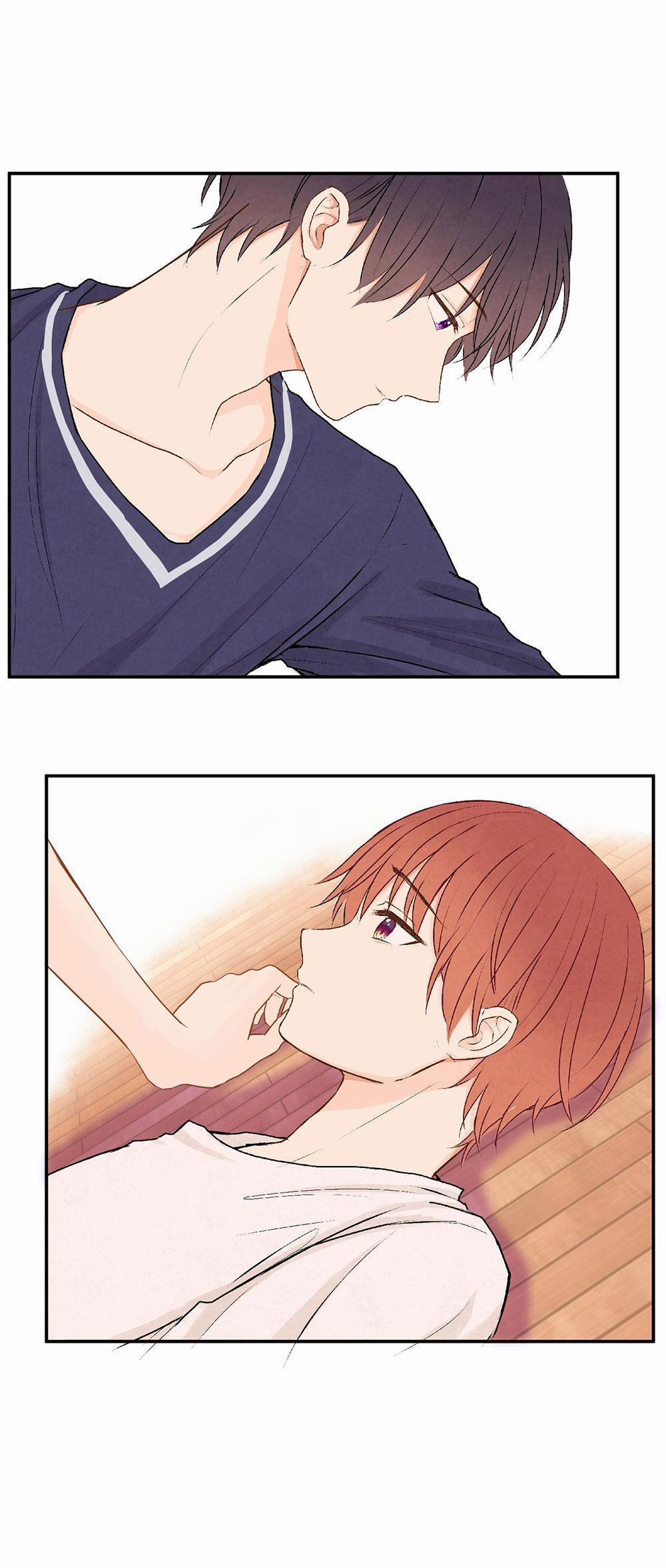 Liquor Gummies 21 trang 20