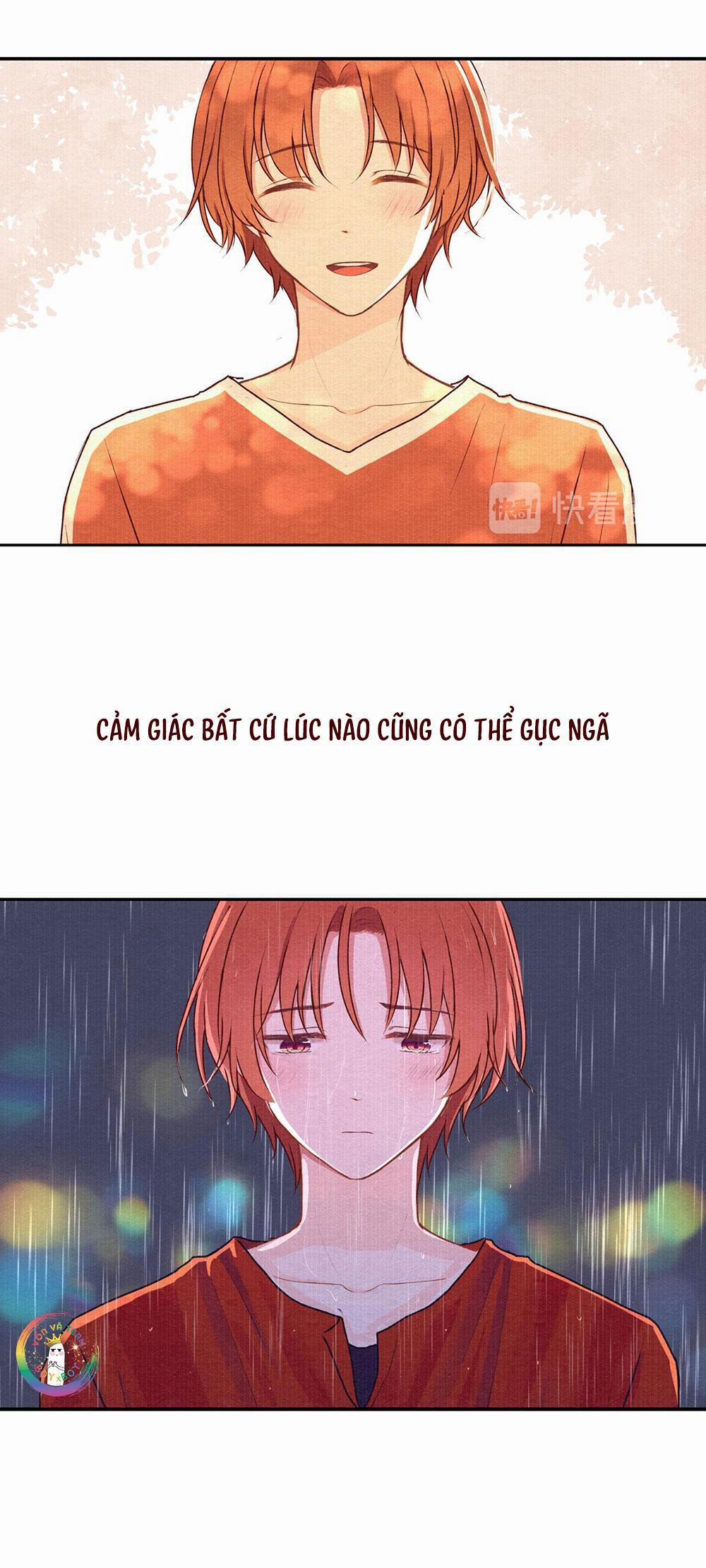 Liquor Gummies 22 trang 19