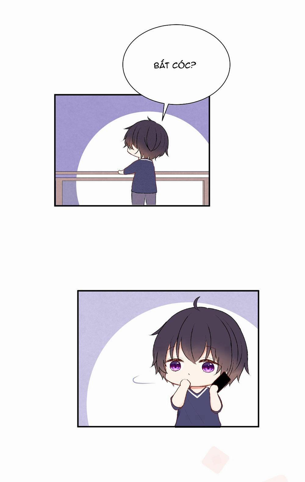 Liquor Gummies 22 trang 5