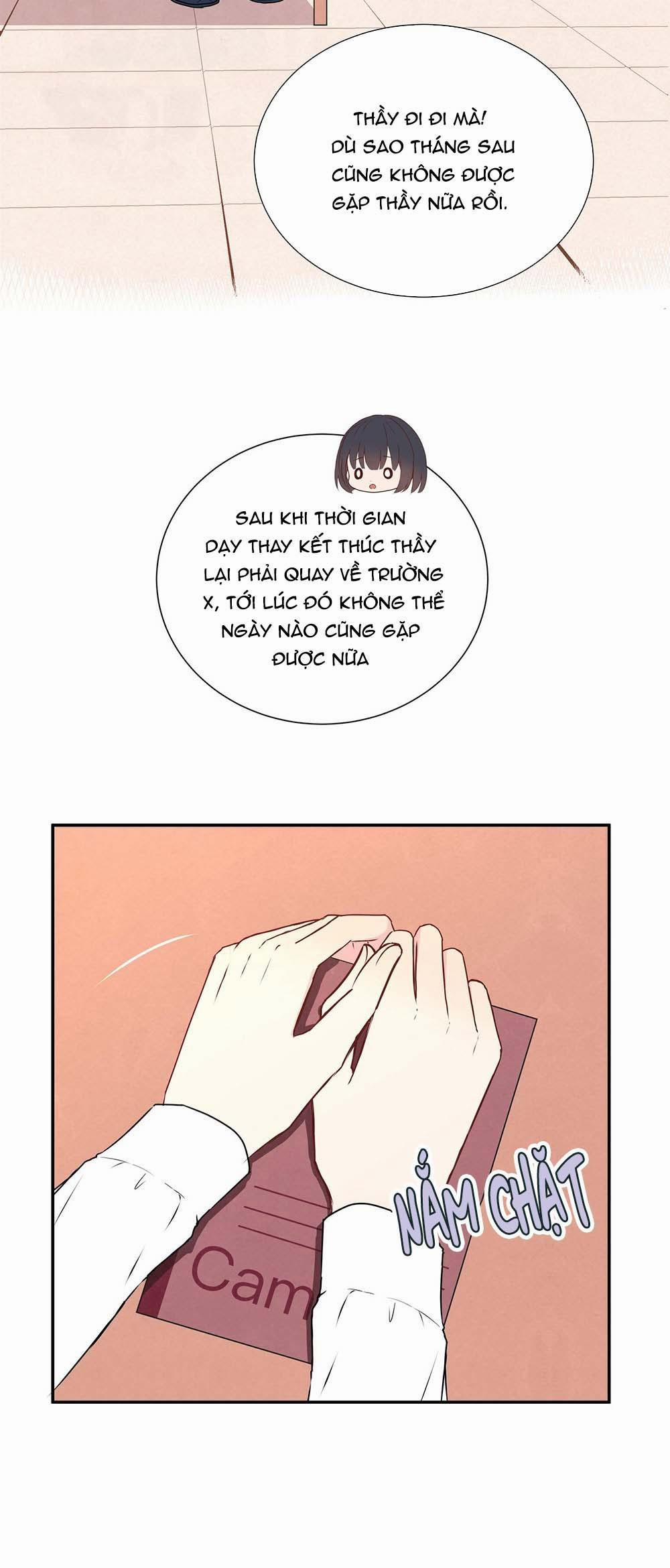 Liquor Gummies 23 trang 14