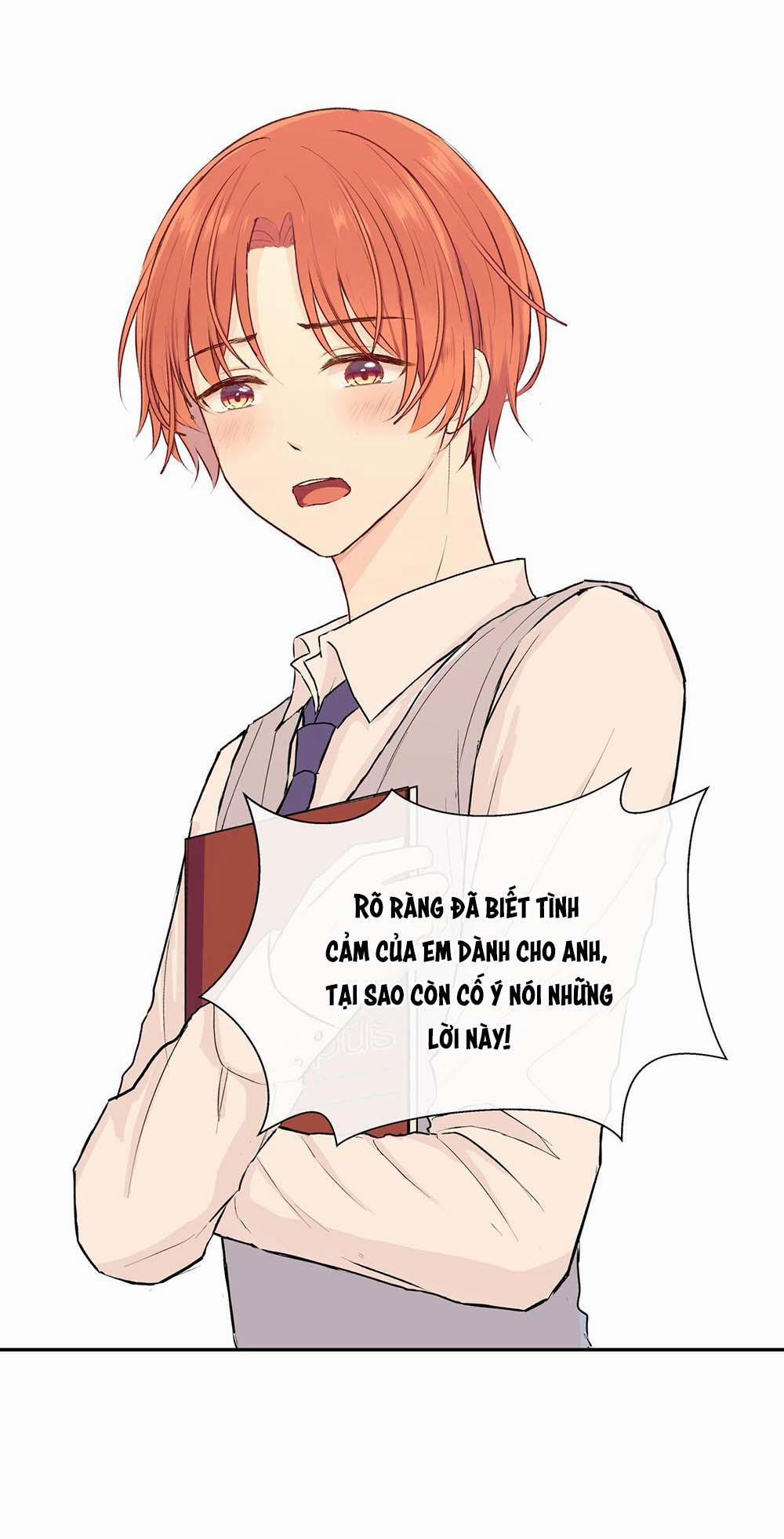 Liquor Gummies 23 trang 19