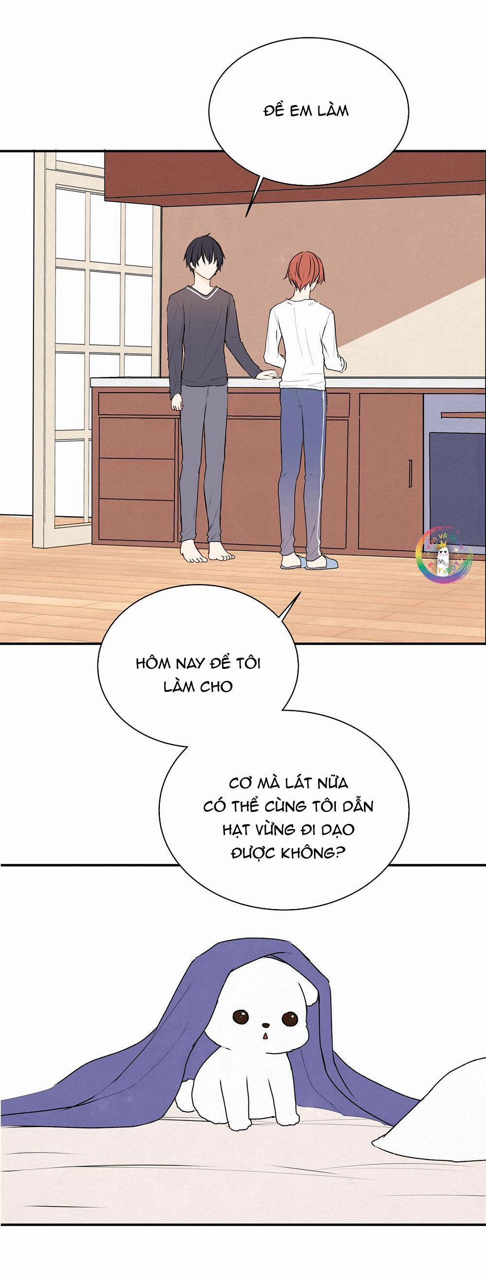 Liquor Gummies 24 trang 14