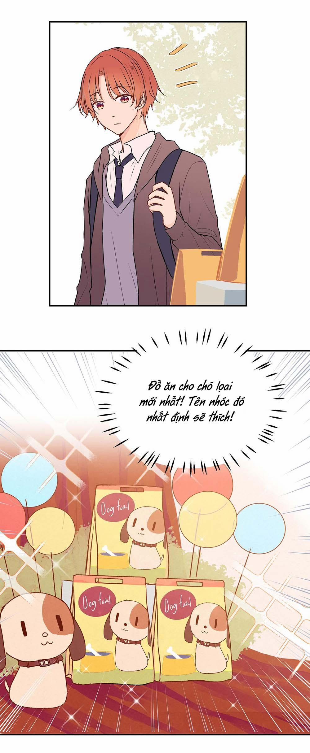 Liquor Gummies 25 trang 11