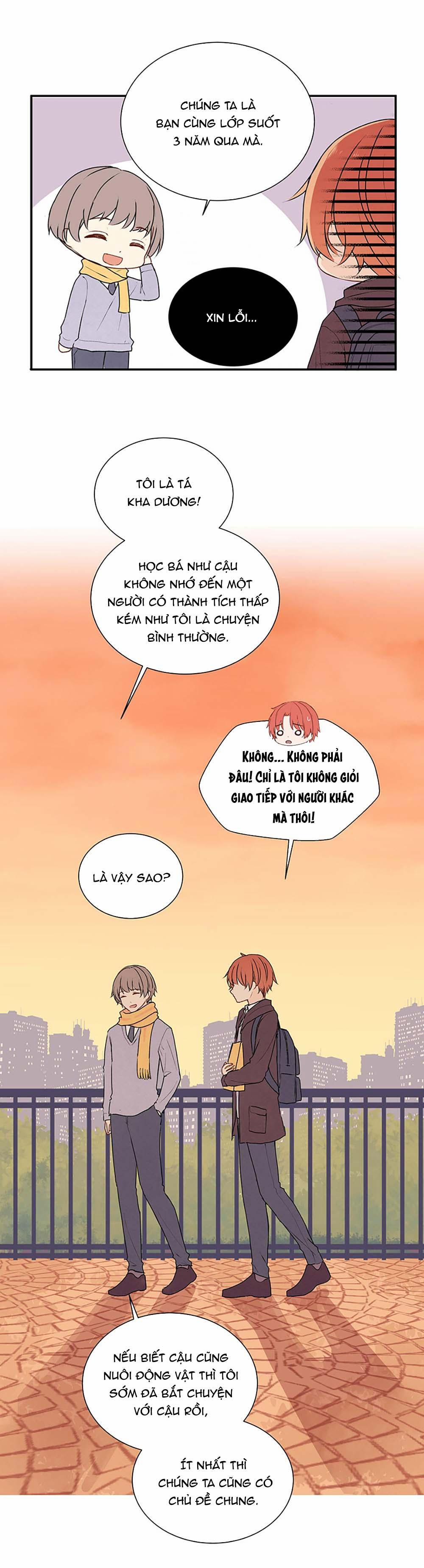 Liquor Gummies 25 trang 15