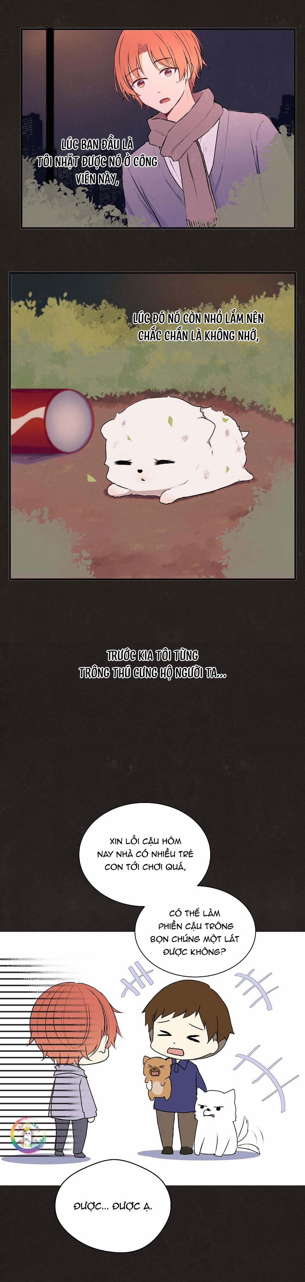 Liquor Gummies 25 trang 3