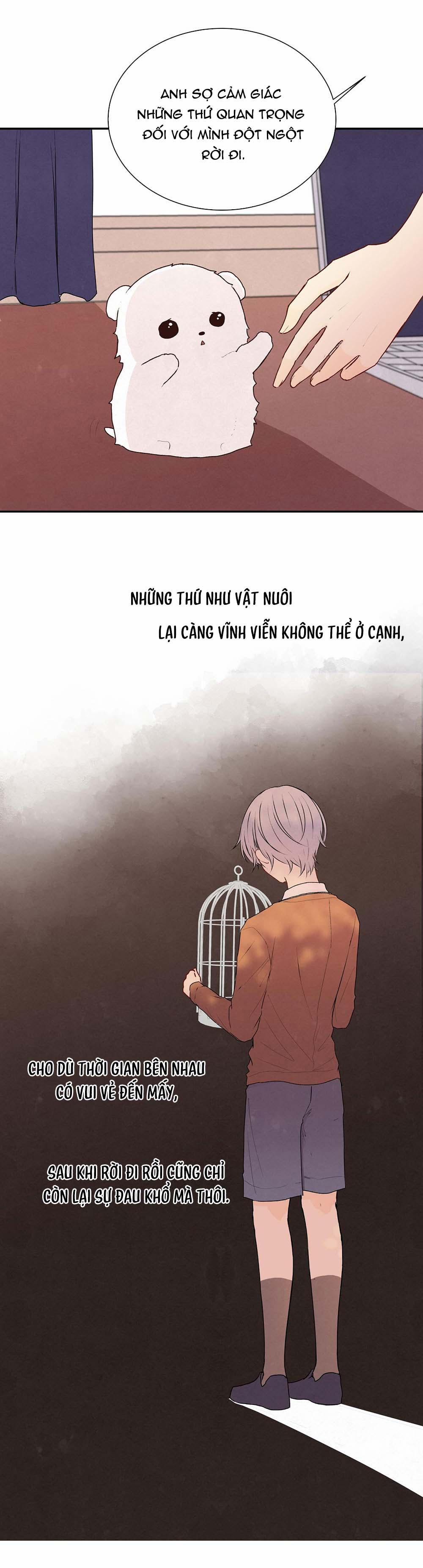 Liquor Gummies 25 trang 9