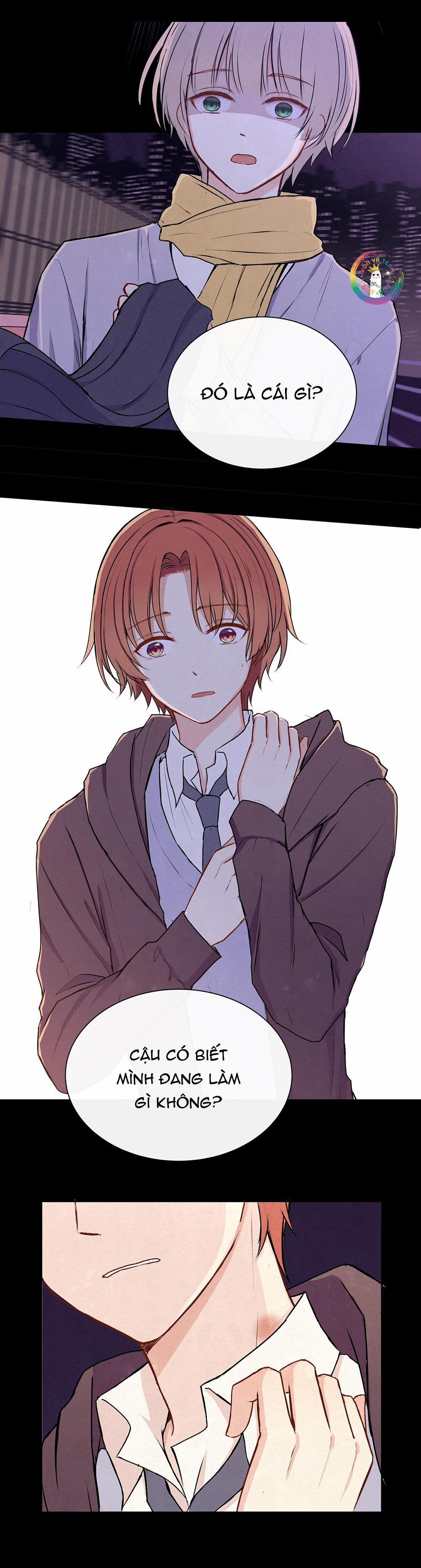 Liquor Gummies 26 trang 10