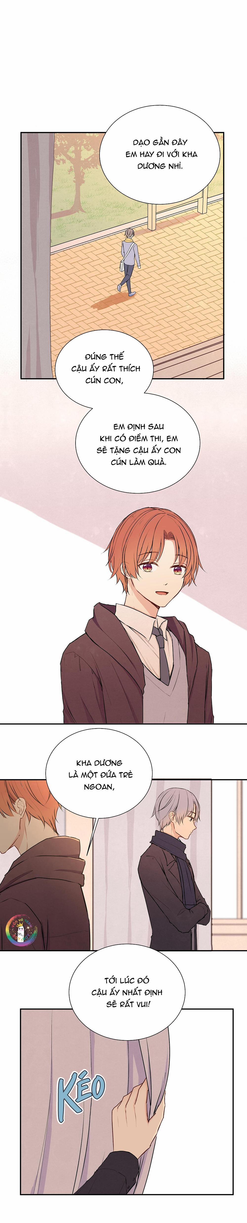 Liquor Gummies 26 trang 3