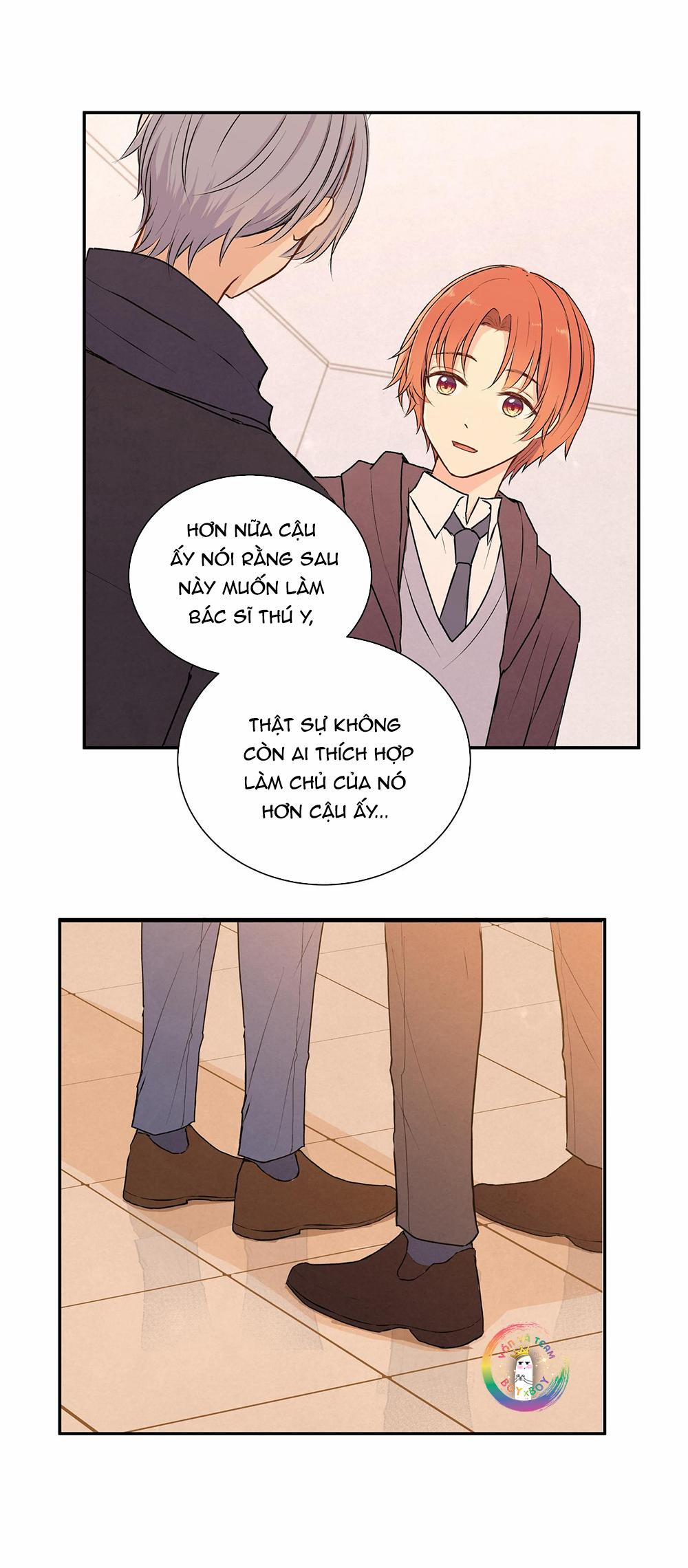 Liquor Gummies 26 trang 4