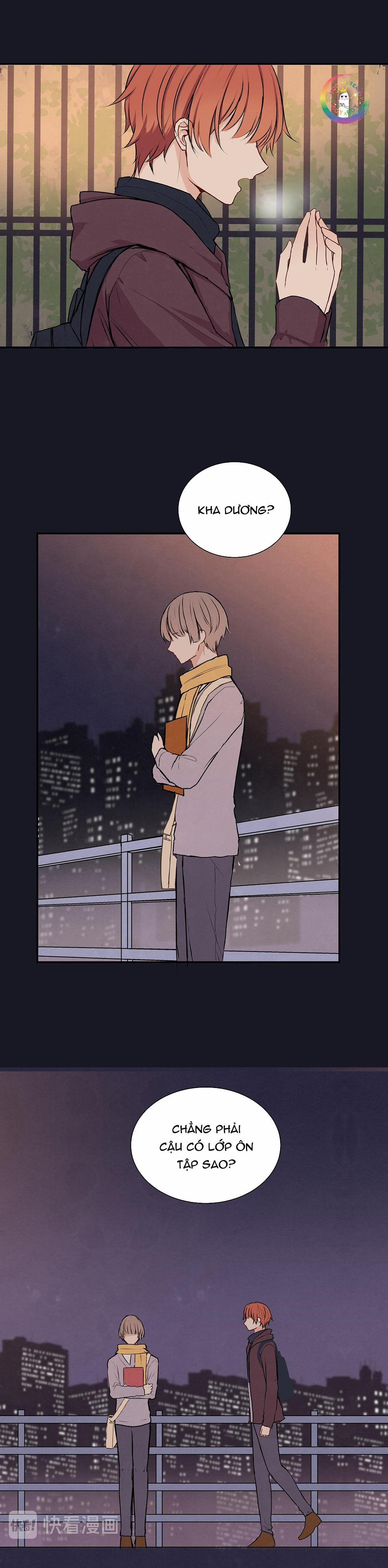 Liquor Gummies 26 trang 8