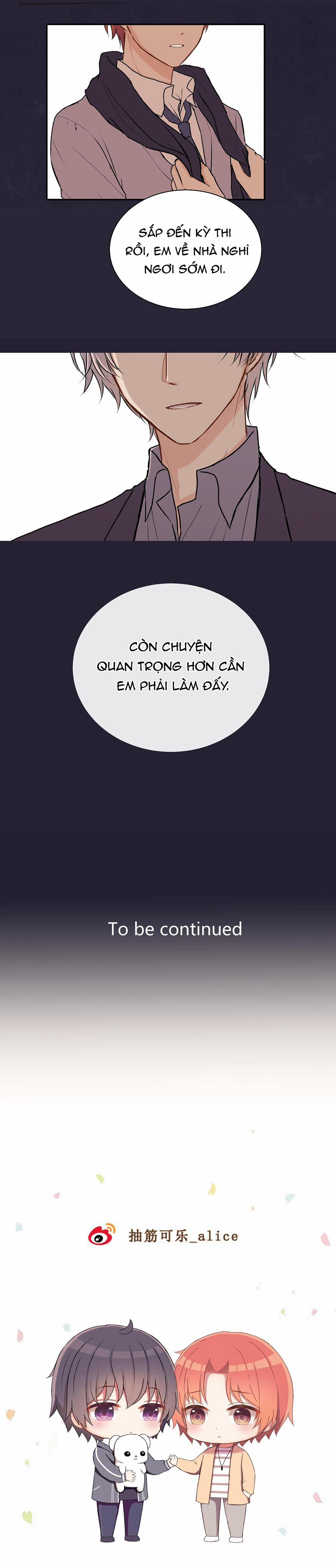 Liquor Gummies 27 trang 12