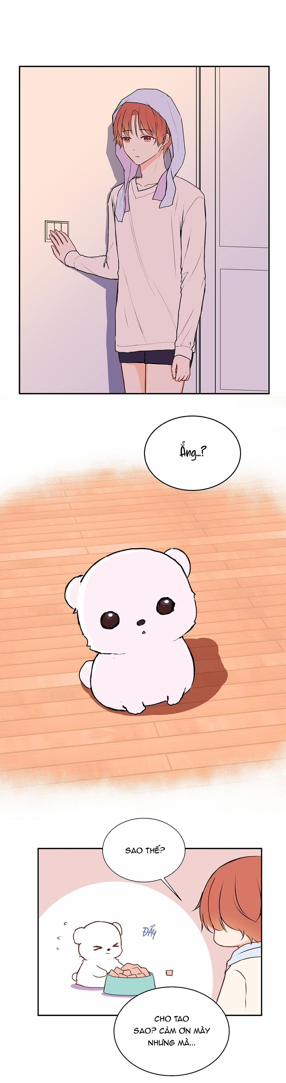 Liquor Gummies 27 trang 2