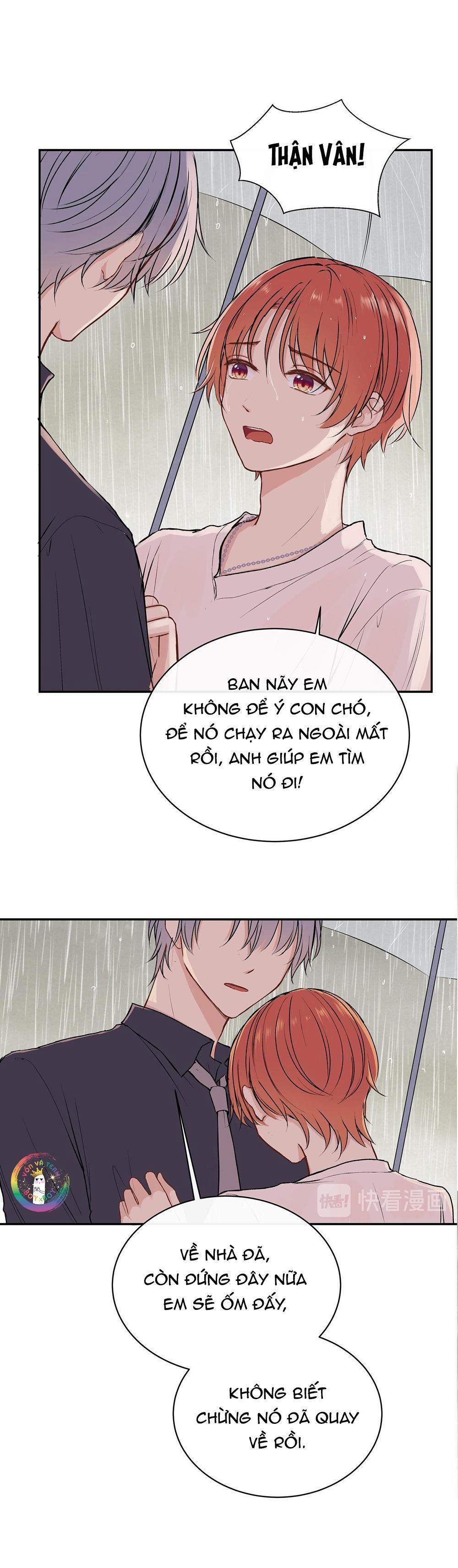 Liquor Gummies 28 trang 14