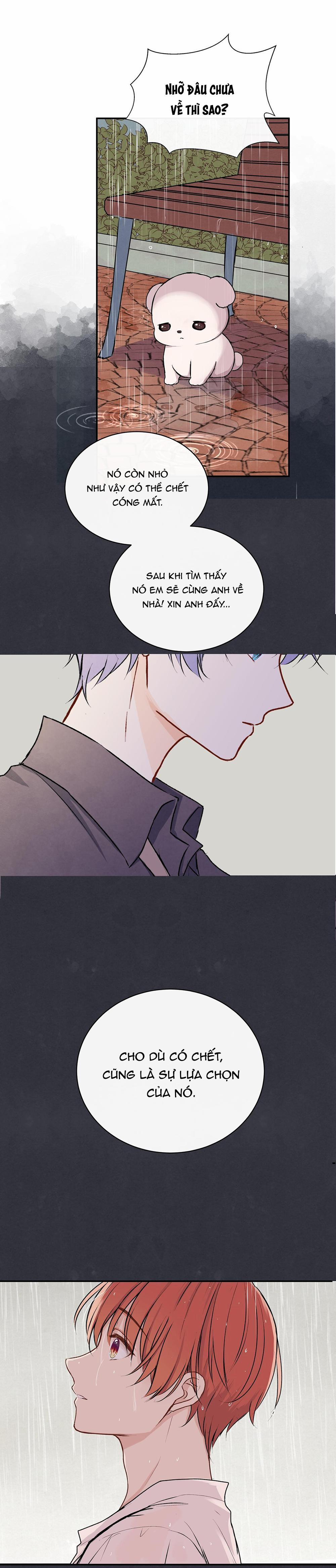 Liquor Gummies 28 trang 15