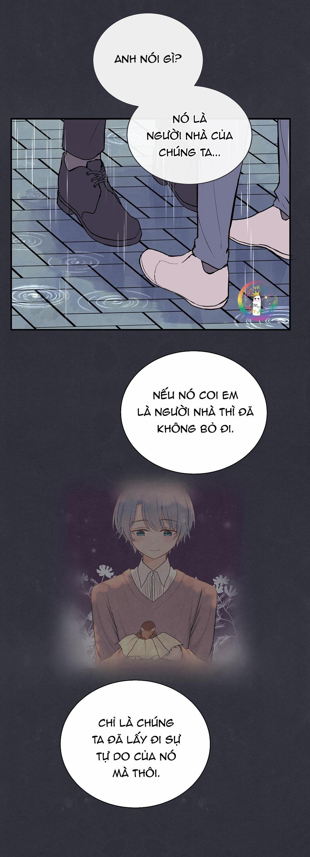 Liquor Gummies 28 trang 16