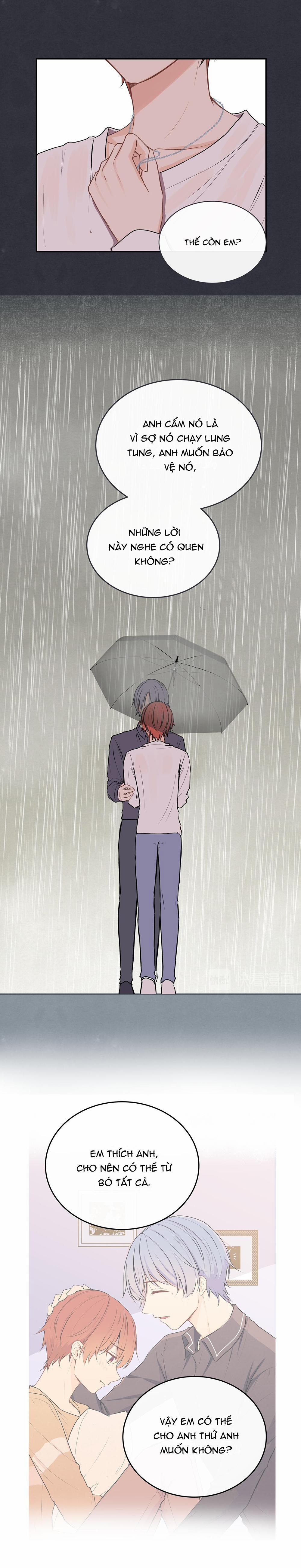 Liquor Gummies 28 trang 17