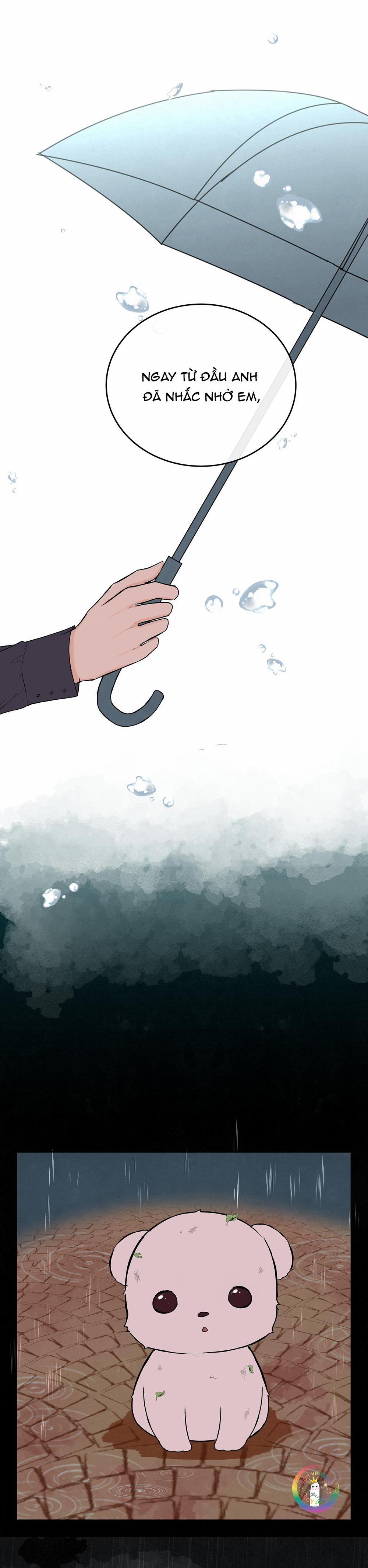 Liquor Gummies 28 trang 19