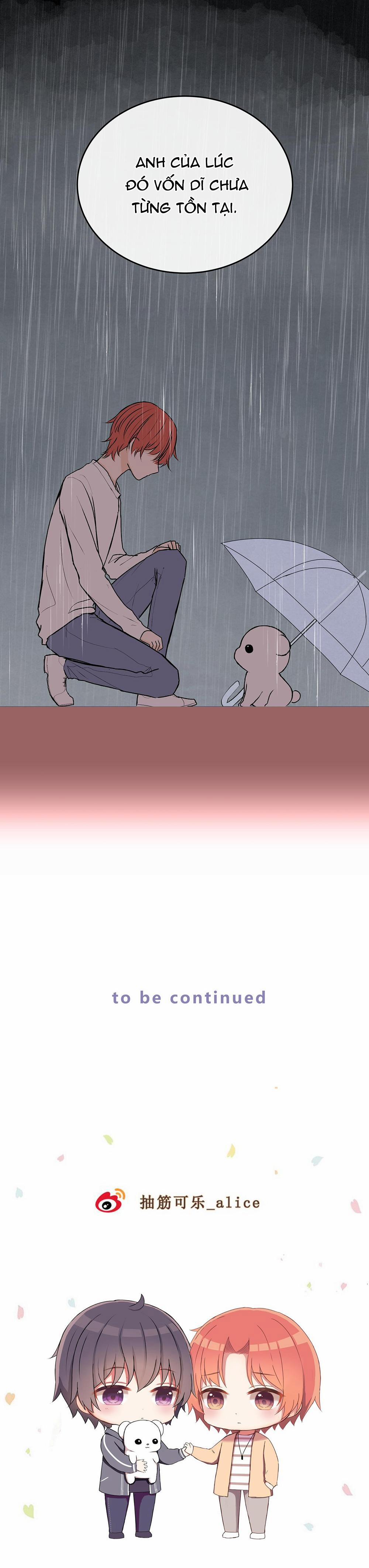 Liquor Gummies 28 trang 20