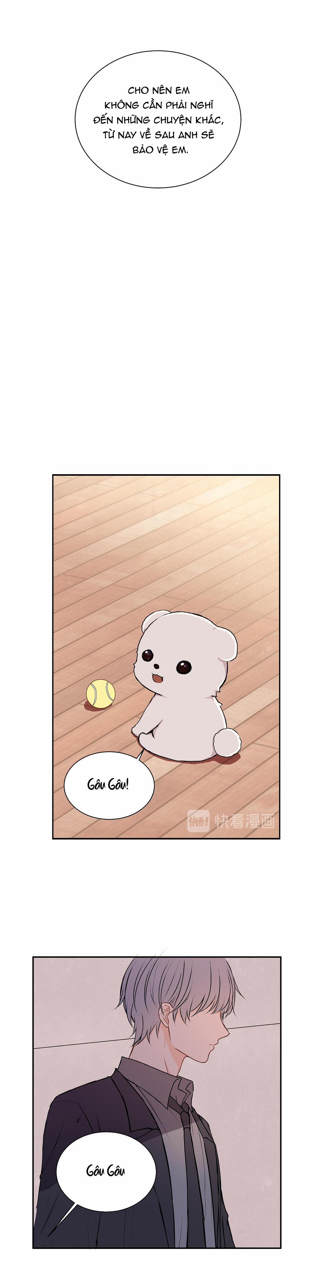 Liquor Gummies 28 trang 4