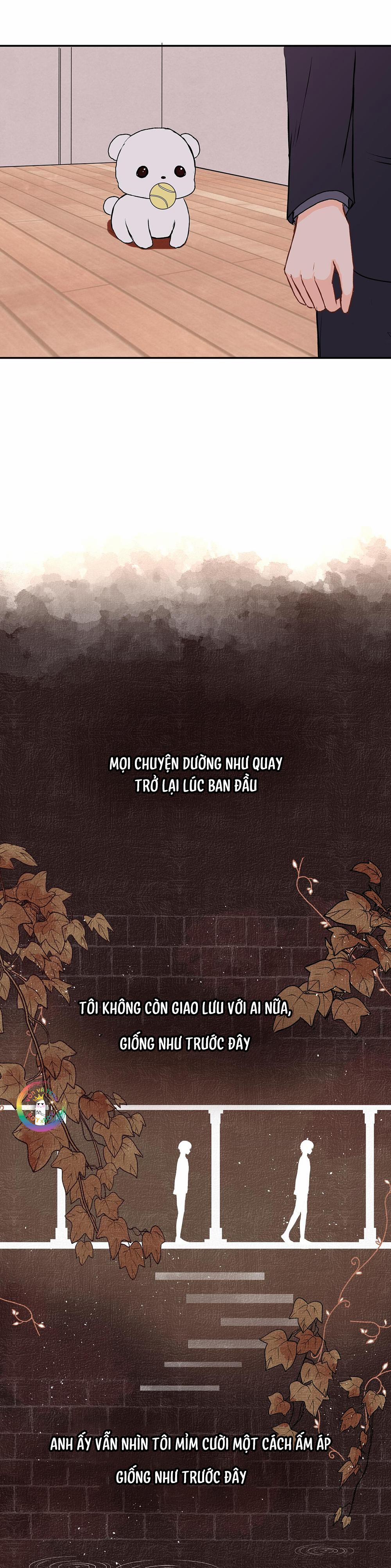 Liquor Gummies 28 trang 5