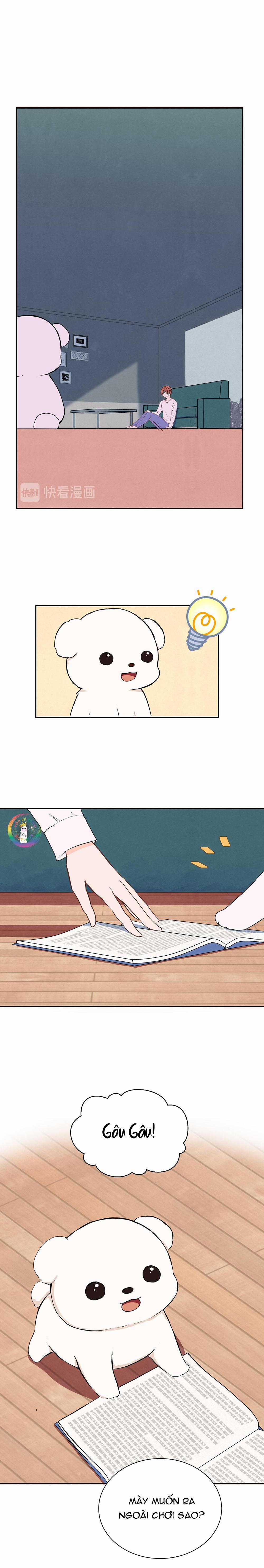 Liquor Gummies 28 trang 8